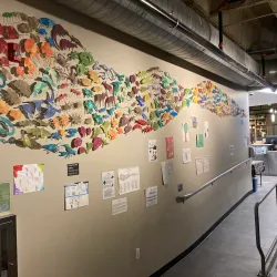 Asheville Museum of Science - Asheville