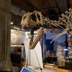 Asheville Museum of Science - Asheville