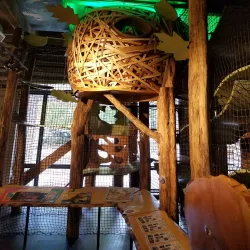 Asheville Museum of Science - Asheville