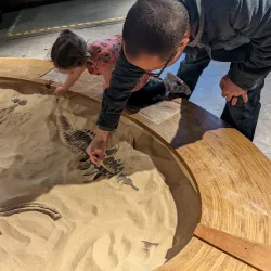 Asheville Museum of Science - Asheville