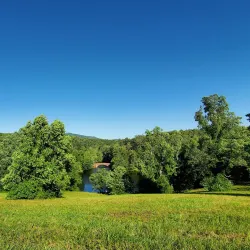 Biltmore Estate - Asheville