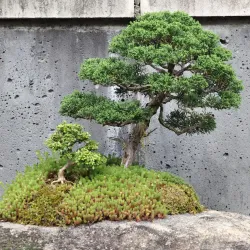 North Carolina Arboretum - Asheville