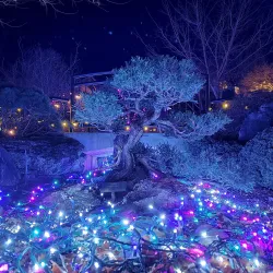 North Carolina Arboretum - Asheville