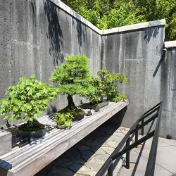 North Carolina Arboretum - Asheville