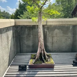 North Carolina Arboretum - Asheville