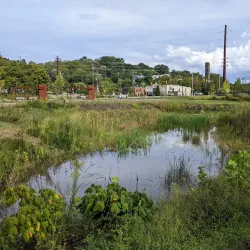 River Arts District - Asheville