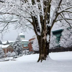 Appalachian State University - Boone