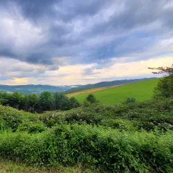 Blue Ridge Parkway - Boone