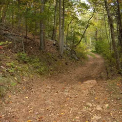 Blue Ridge Parkway - Boone