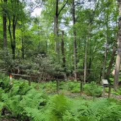 Daniel Boone Native Gardens - Boone