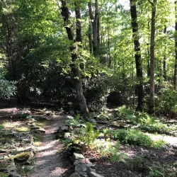Daniel Boone Native Gardens - Boone