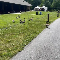 Brevard Music Center - Brevard