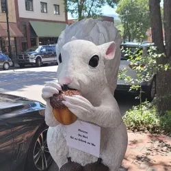 Downtown Brevard - Brevard