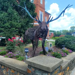 Downtown Brevard - Brevard