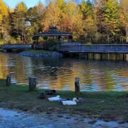 Downtown Brevard - Brevard