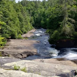 Dupont State Recreational Forest - Brevard