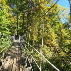 French Broad River Adventures - Brevard