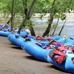French Broad River Adventures - Brevard