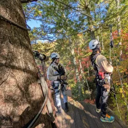 French Broad River Adventures - Brevard