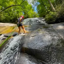 French Broad River Adventures - Brevard