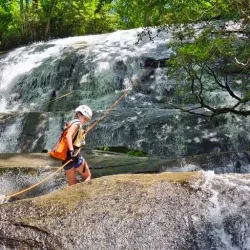 French Broad River Adventures - Brevard