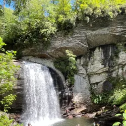 Looking Glass Falls - Brevard