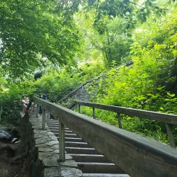 Looking Glass Falls - Brevard