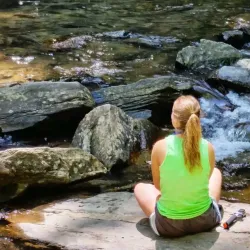 Looking Glass Falls - Brevard