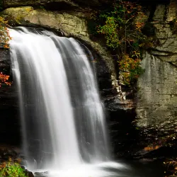 Looking Glass Falls - Brevard