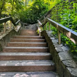 Looking Glass Falls - Brevard