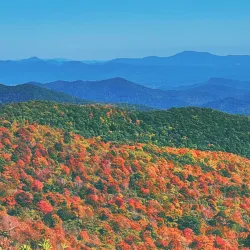 Pisgah National Forest - Brevard
