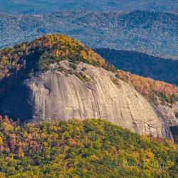 Pisgah National Forest - Brevard