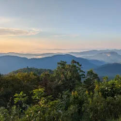Pisgah National Forest - Brevard