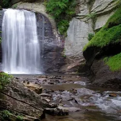 Pisgah National Forest - Brevard