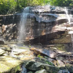 Pisgah National Forest - Brevard