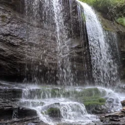 Pisgah National Forest - Brevard