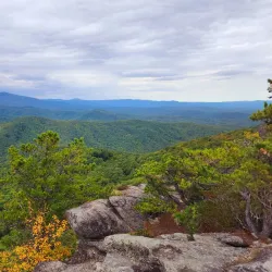 Pisgah National Forest - Brevard