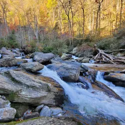 Whitewater Falls - Brevard