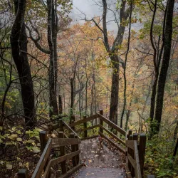 Whitewater Falls - Brevard