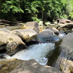 Whitewater Falls - Brevard