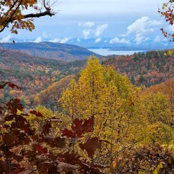 Whitewater Falls - Brevard