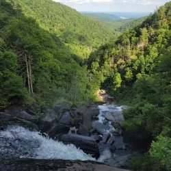 Whitewater Falls - Brevard