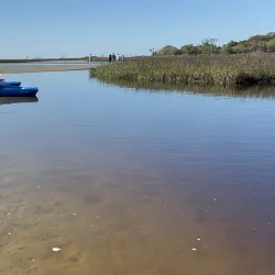 Bogue Sound Kayaking - Cape Carteret