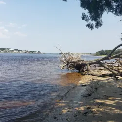 Bogue Sound Kayaking - Cape Carteret
