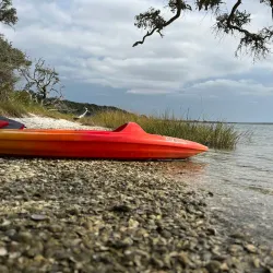 Bogue Sound Kayaking - Cape Carteret