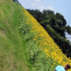 Cape Carteret Beach - Cape Carteret
