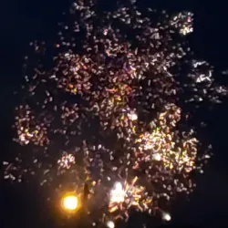 Cape Carteret Beach - Cape Carteret