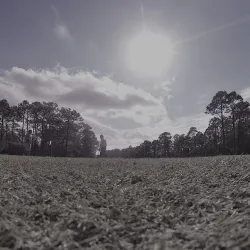 Cape Carteret Golf Club - Cape Carteret