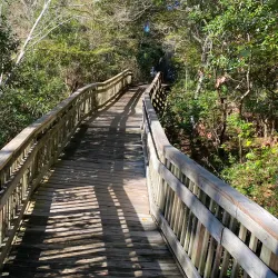 Emerald Isle Woods Park - Cape Carteret