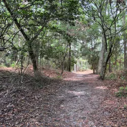 Emerald Isle Woods Park - Cape Carteret
